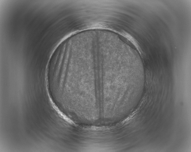 X0000067841142200605041642