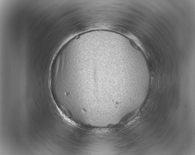 X0000067841143200605041643