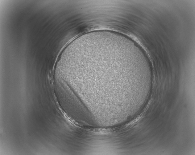 X0000067841145200605041643