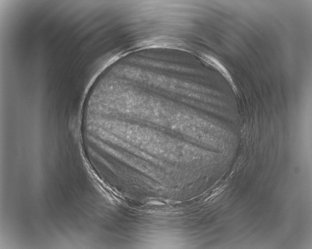 X0000067841146200605041643