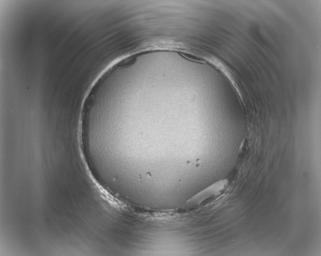 X0000067841147200605041643