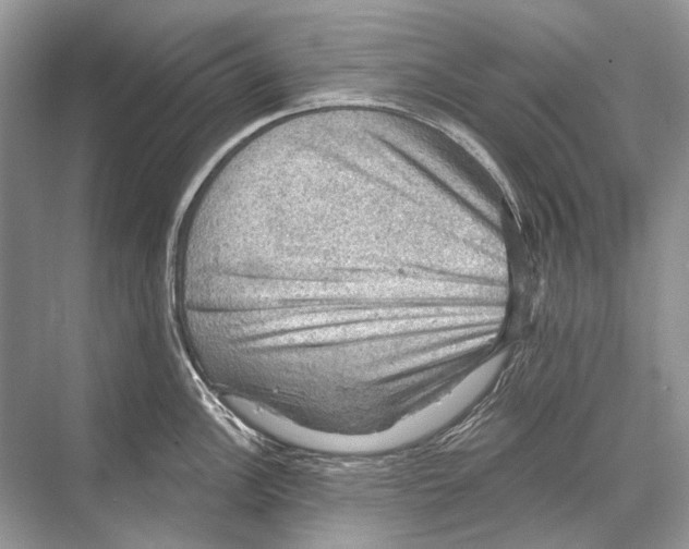 X0000067841148200605041643