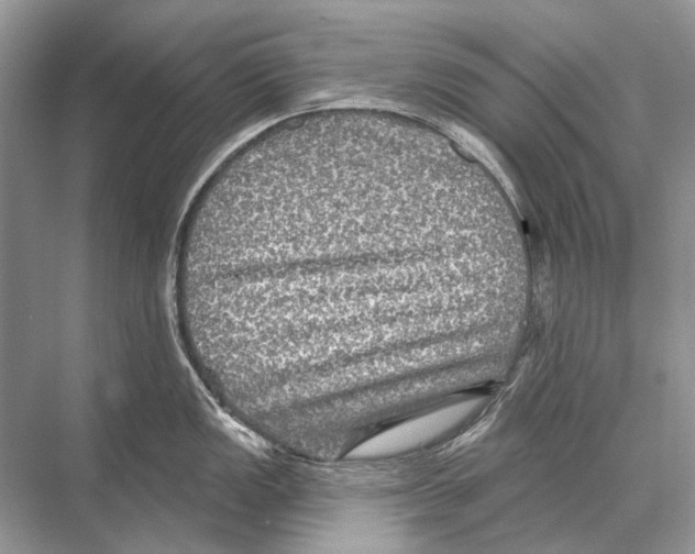 X0000067841149200605041643