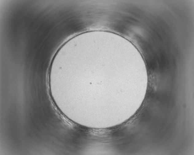 X0000067841150200605041643