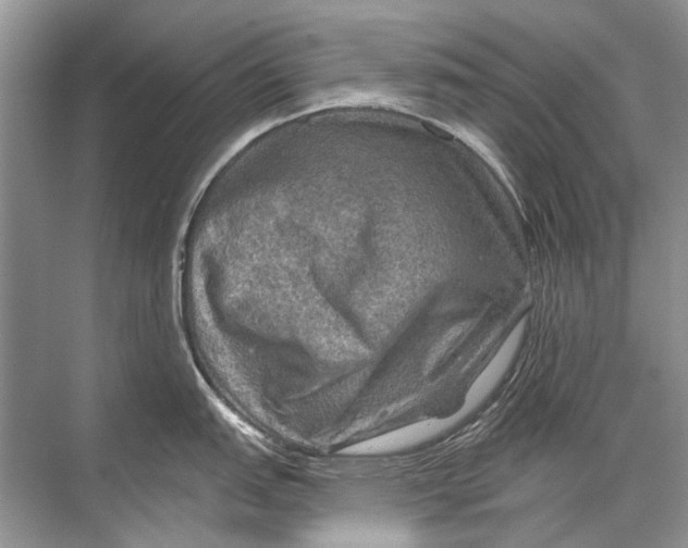 X0000067841151200605041643