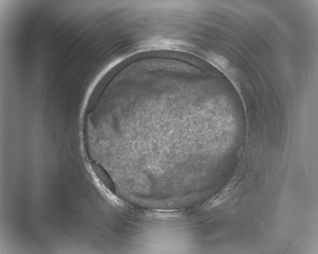 X0000067841152200605041643