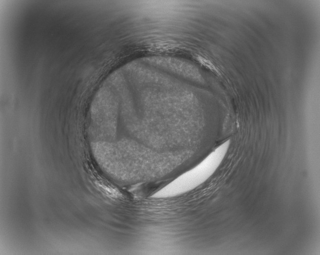 X0000067841153200605041642