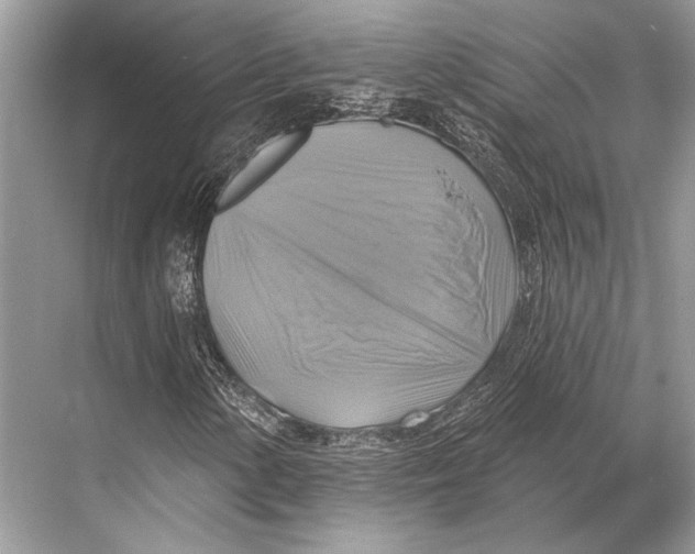 X0000067841154200605041642