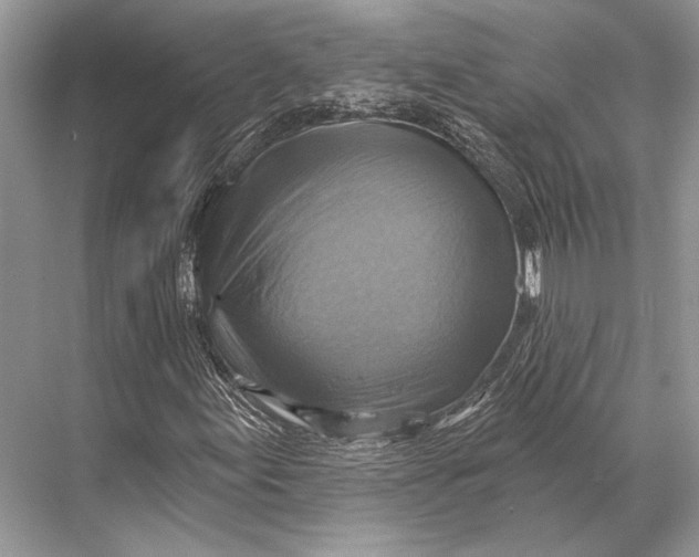 X0000067841155200605041642