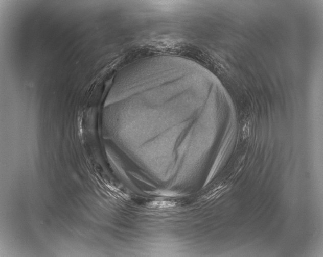 X0000067841156200605041642