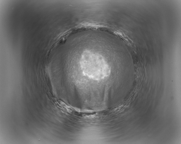 X0000067841157200605041642