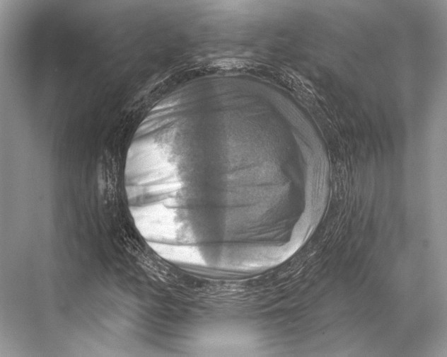 X0000067841158200605041642