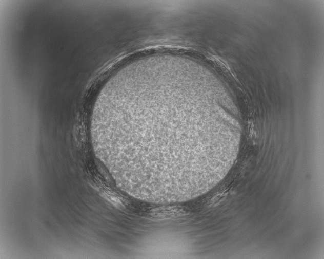 X0000067841159200605041642