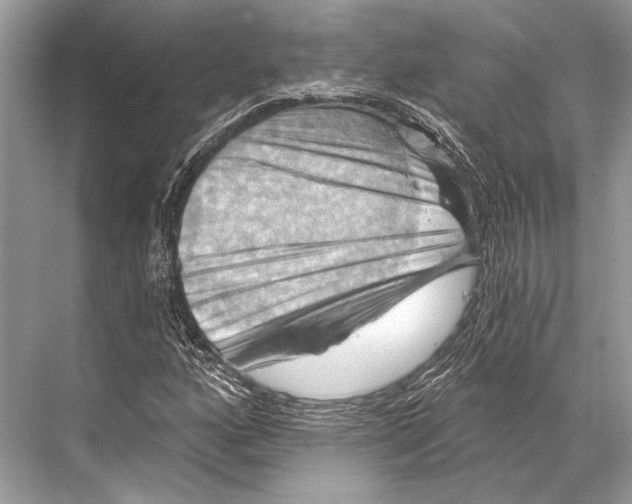 X0000067841160200605041642