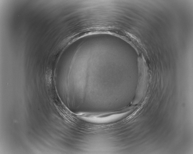 X0000067841161200605041642