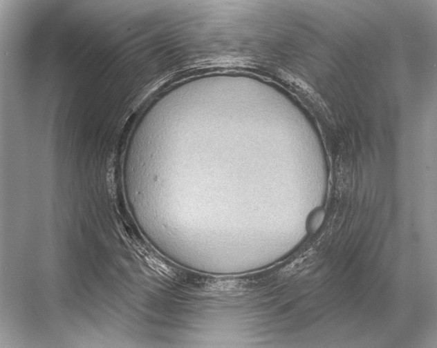 X0000067841162200605041642