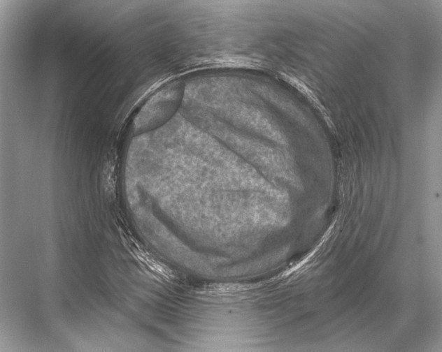 X0000067841163200605041642