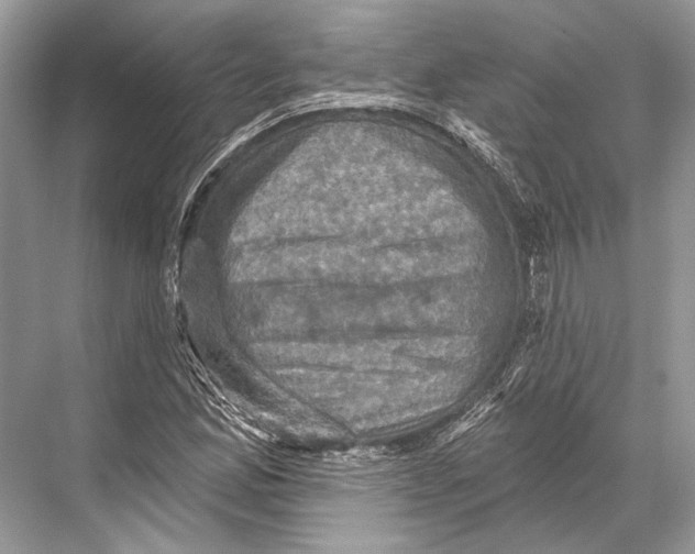 X0000067841165200605041642