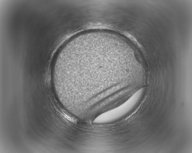 X0000067841167200605041642