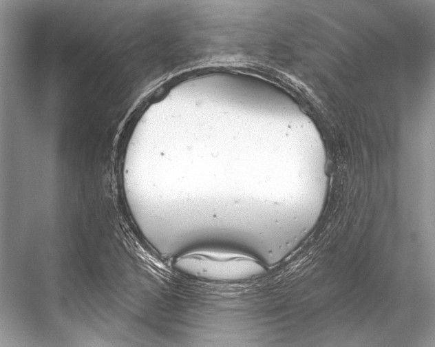 X0000067841168200605041642