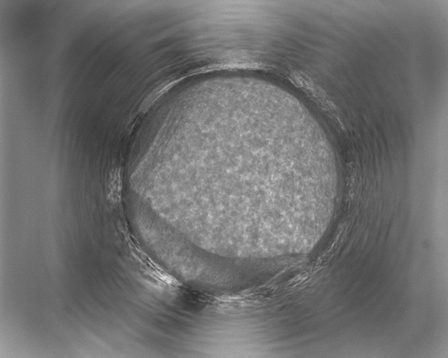 X0000067841169200605041642