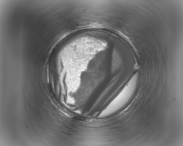 X0000067841171200605041642