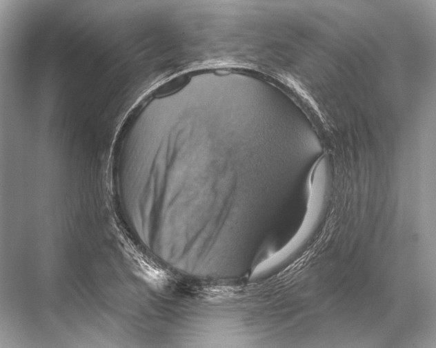 X0000067841173200605041642