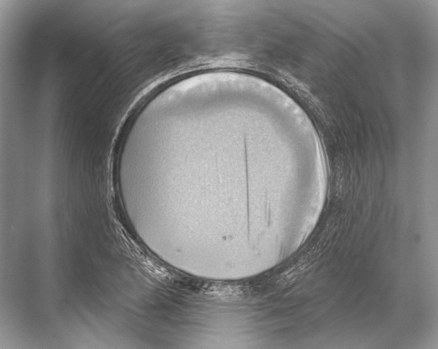 X0000067841174200605041642