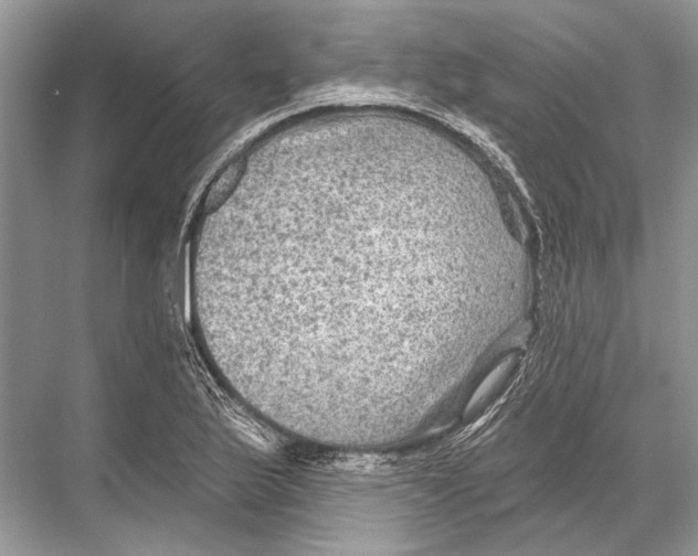 X0000067841175200605041641