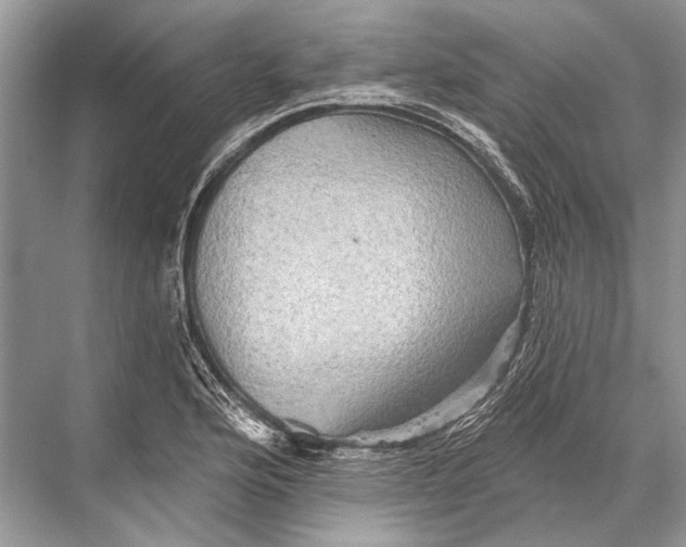 X0000067841176200605041641