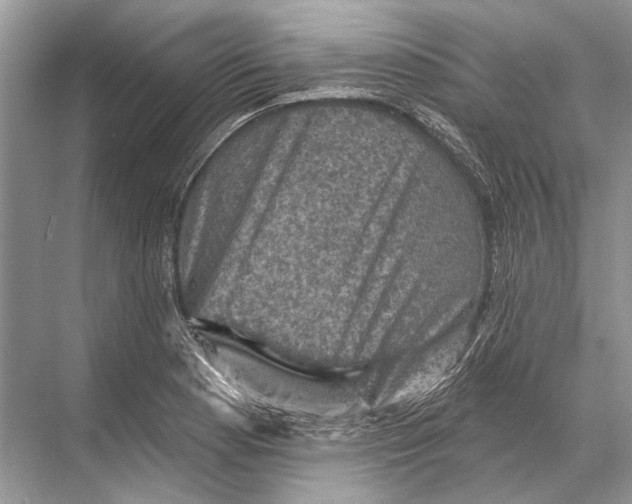 X0000067841177200605041641