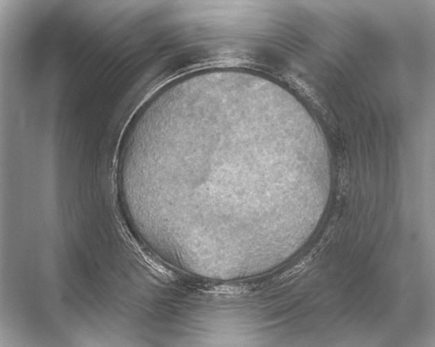 X0000067841178200605041641