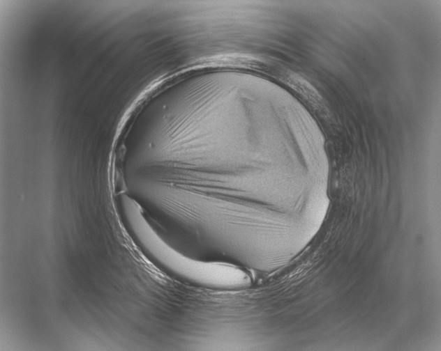 X0000067841180200605041641