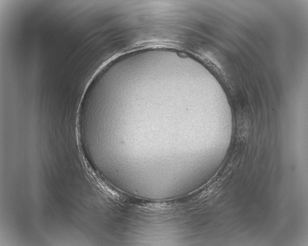 X0000067841182200605041641