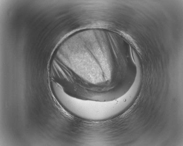 X0000067841184200605041641