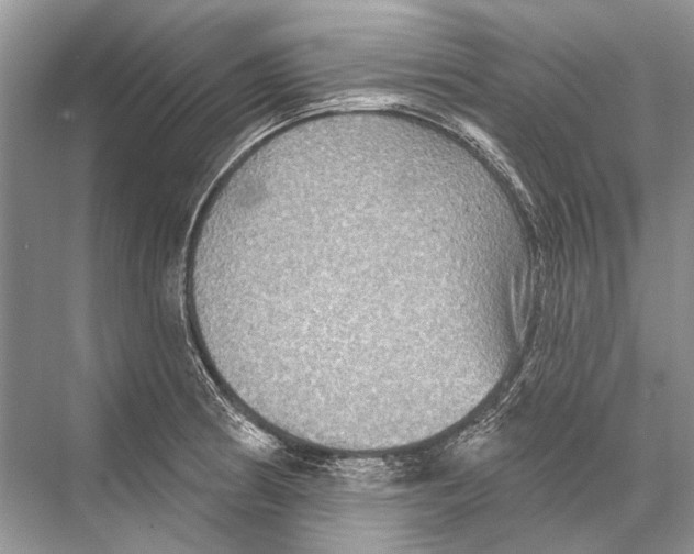 X0000067841186200605041641