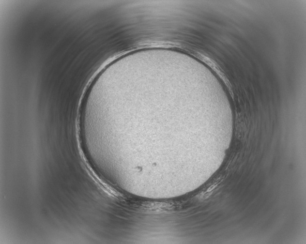 X0000067841187200605041641