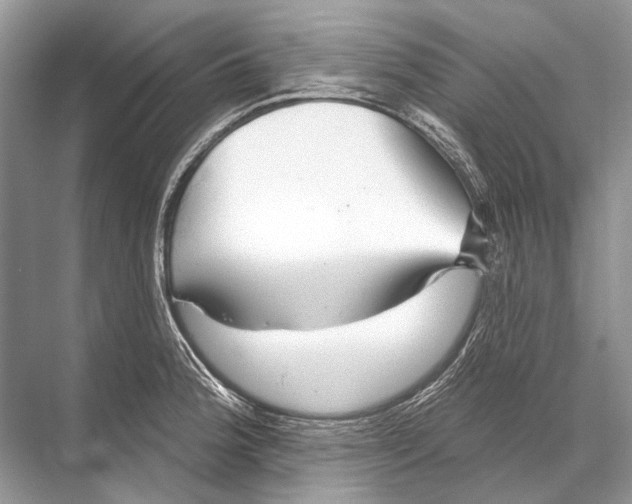 X0000067841188200605041641