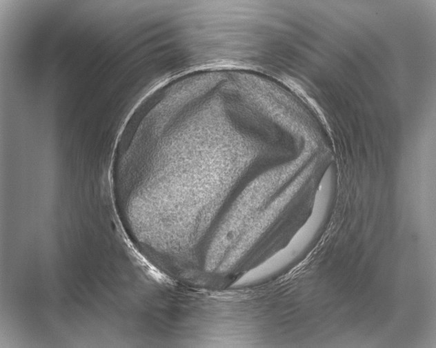 X0000067841189200605041641