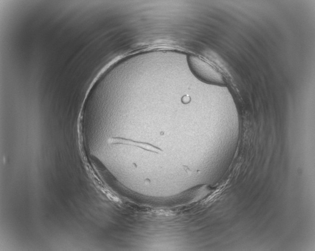 X0000067841190200605041641