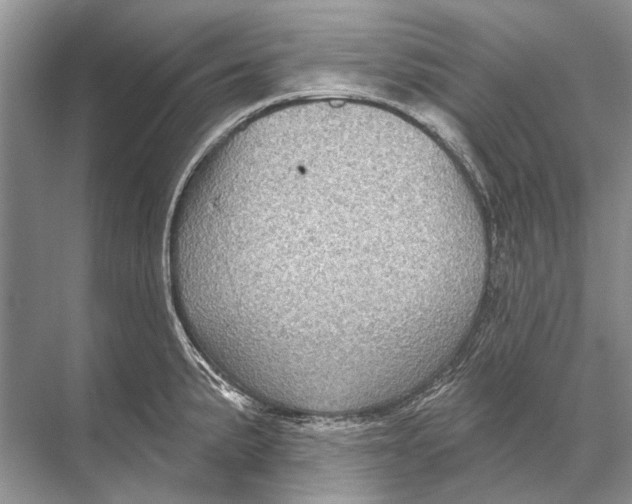 X0000067841191200605041641