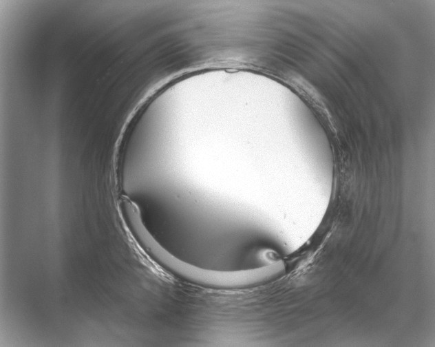 X0000067841192200605041641