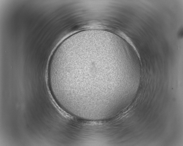 X0000067841195200605041641