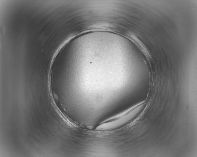 X0000067841196200605041641