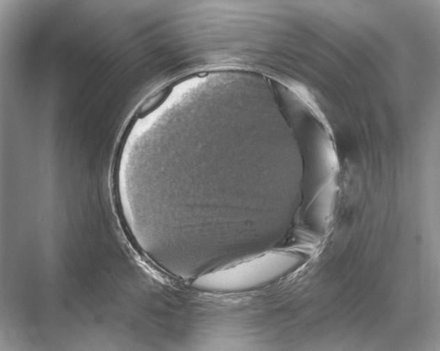 X0000067841197200605041641