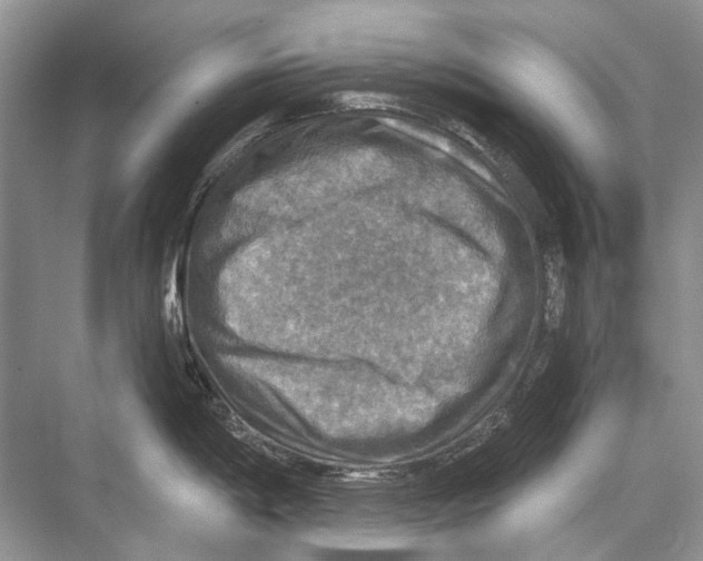 X0000067841198200605041641