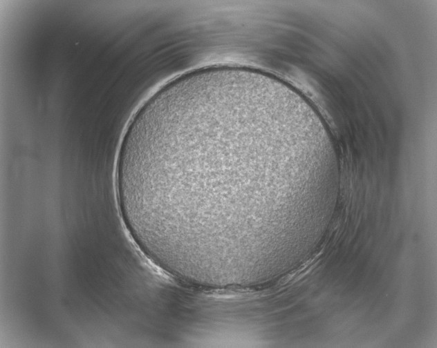 X0000067841199200605041641