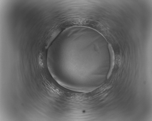 X0000067841202200605041640