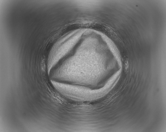 X0000067841204200605041640