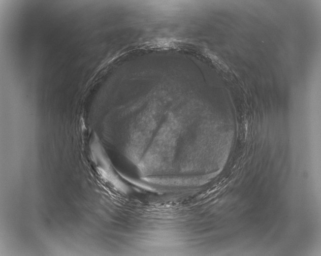 X0000067841206200605041640